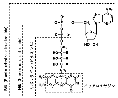 Fig.1