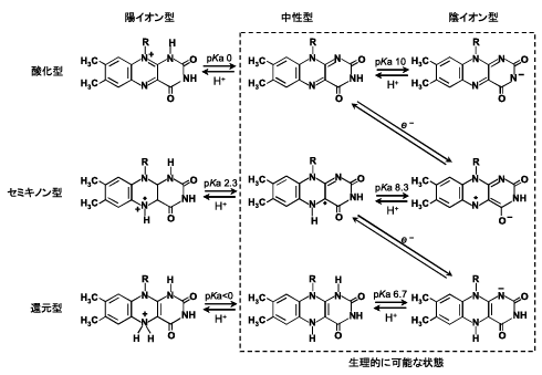 Fig.2