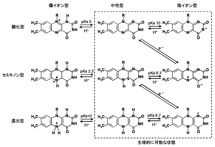 Fig.2