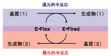 Fig.4