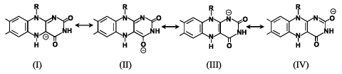 Fig.7