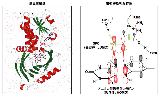Fig.9