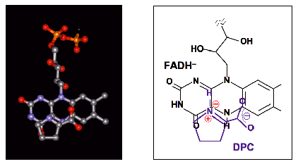 Fig.10