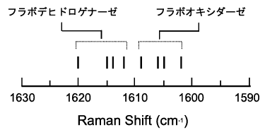 Fig.13