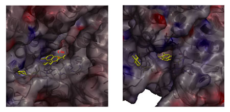 Fig.18