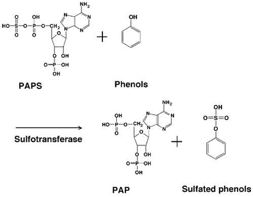 Fig.2