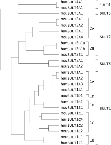 Fig.3