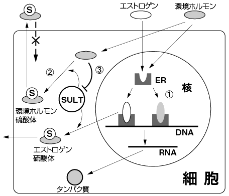 Fig.4