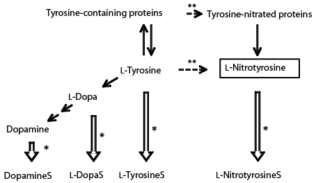 Fig.5