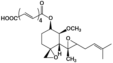 Fig.1