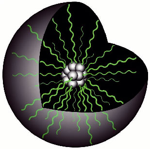 Fig.3