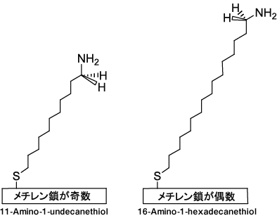 Fig.2