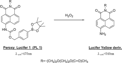 Fig.1