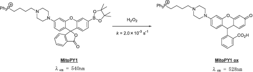 Fig.3