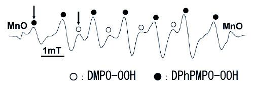 Fig.2
