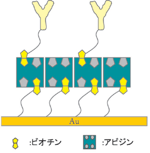 Fig.1