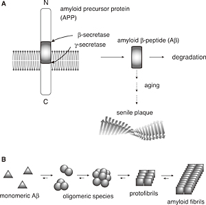 Fig.1