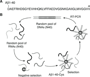 Fig.2