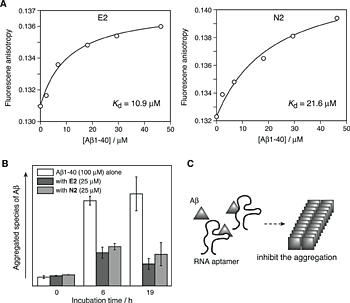 Fig.3