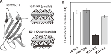 Fig.7