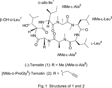 Fig.1