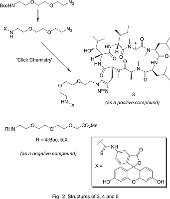 Fig.2