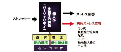 XgXN鎾̔ǃJjY̐}