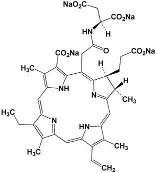 Fig.1