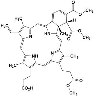 Fig.2