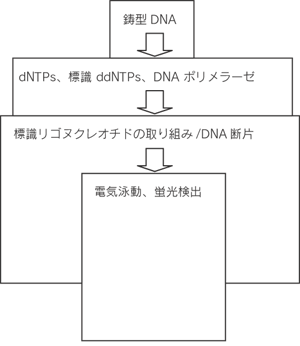 図1