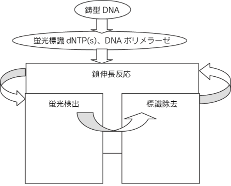 図2