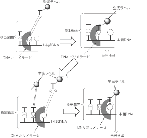 図5