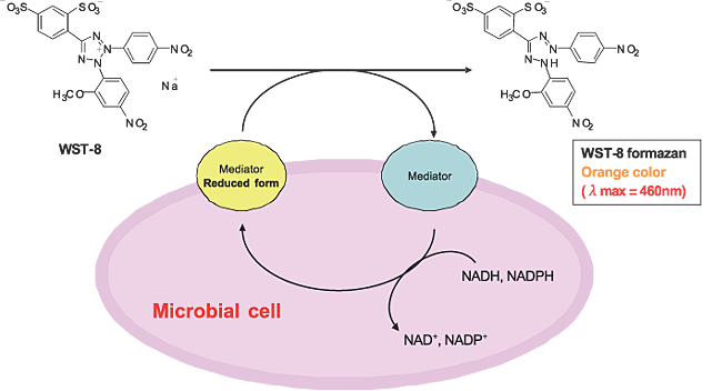 Fig.1@F