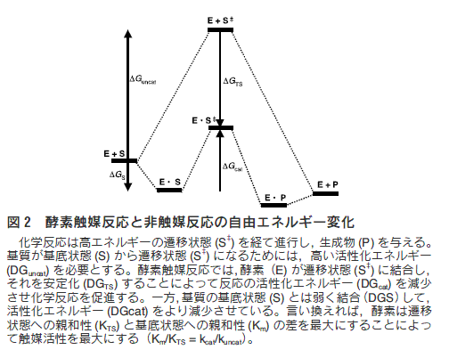 yfG}ƔG}̎RGlM[ω