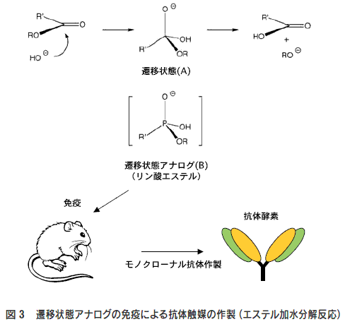 JڏԃAiO̖ƉuɂR̐G}̍쐻iGXe𔽉j