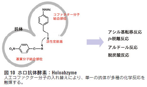 zR̍yfFHoloabzyme