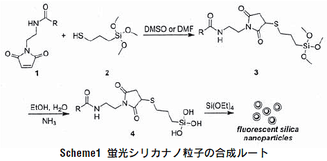 Scheme1 uVJimq̍[g