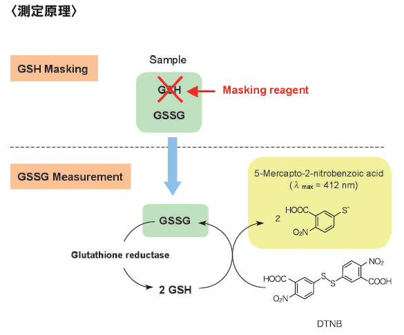 q茴r