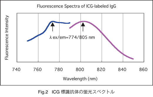 Fig.2 ICG WR̂̌uXyNg