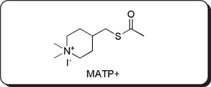 MATP+