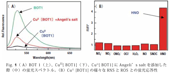 Fig. 1iAjBOT 1ijACuII[BOT1]ijACuII[BOT1nAngelifs saltYہiǰuXyNgBiBjCuII[BOT1n̗lXRNSROSƂ̌u