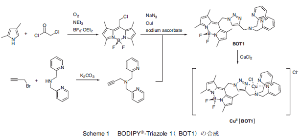 Scheme 1@ BODIPYR-Triazole 1iBOT1j̍