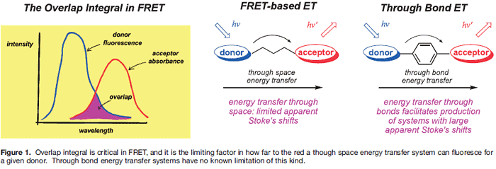 Figure1. Overlap integral is critical in FRET, and it is the limiting factor in how far to the red a though space energy transfer system can fluoresce for agivendonor.  Through bond energy transfer systems have no known limitation of this kind.