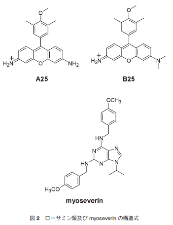 Scheme1. Immobilization of Cysteinyl Biomolecules over Functionalized-SAM using 1,4-Michael Addition 