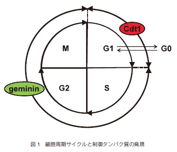 }1 זETCNƐ^pN̔