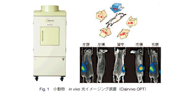 Fig.1 invivoC[WOuiClairvivoOPTj