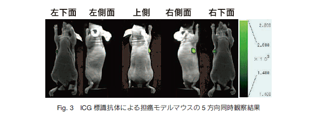 Fig.3 ICGWR̂ɂSf}EX5ώ@