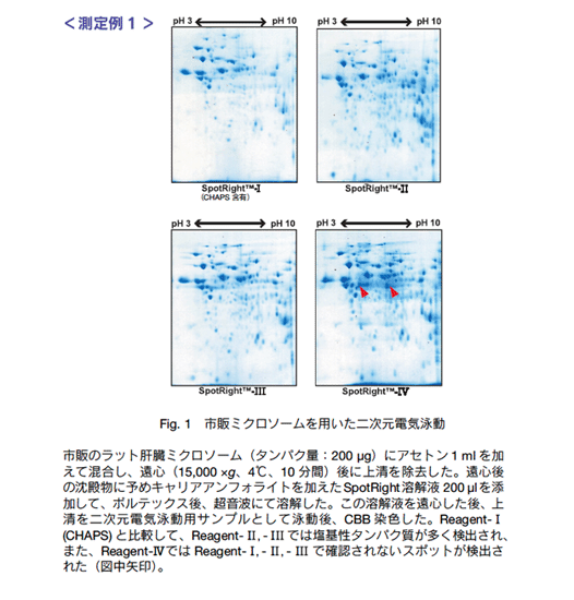 Fig.1 s̃~N\[p񎟌dCj