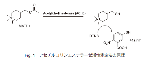 Fig.1 AZ`RGXe[[@̌