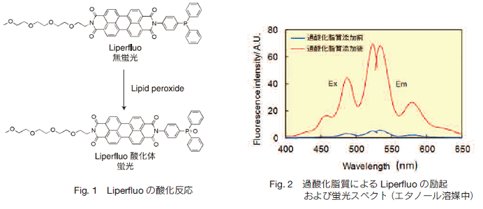 Fig1,2